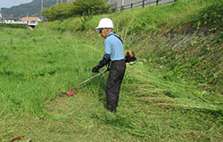 除草・草刈り